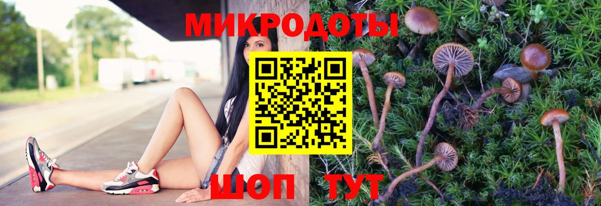 Галлюциногенные грибы Cubensis Новый Уренгой